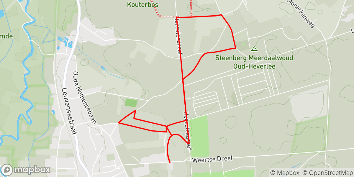 Natuurloop Meerdaalwoud groen. 5km en 22D+ hoogtemeters in OudHeverlee